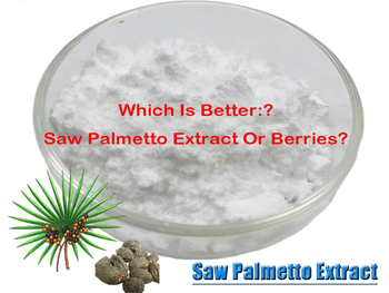 Which Is Better: Saw Palmetto Extract Or Berries?